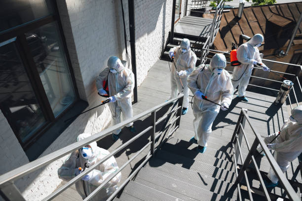 Best Commercial Mold Inspection  in Ortonville, MI