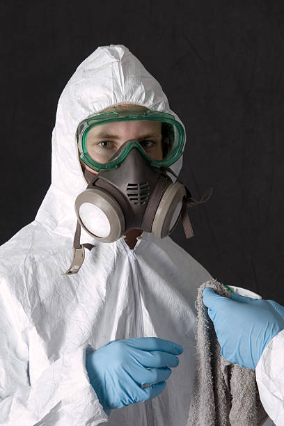 Environmental Consulting for Mold Prevention in Ortonville, MI